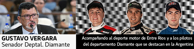 Gustavo Vergara - senador provincial